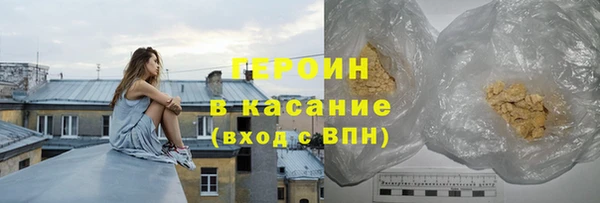 прущие грибы Абаза
