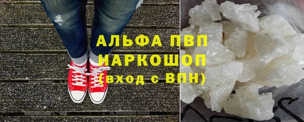 прущие грибы Абаза