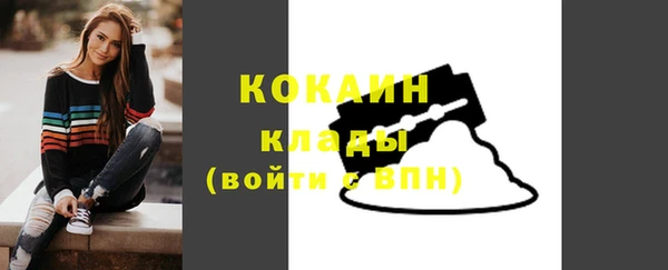 прущие грибы Абаза