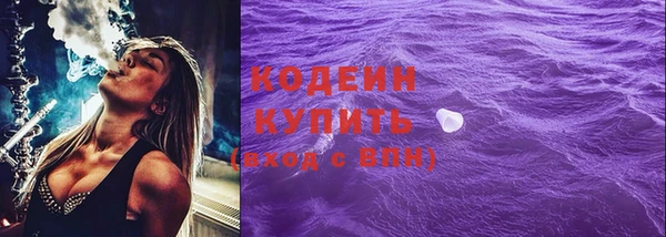 прущие грибы Абаза