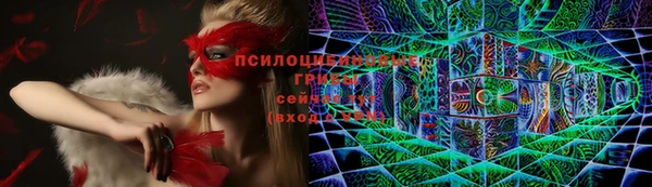 ГАЛЛЮЦИНОГЕННЫЕ ГРИБЫ Семилуки