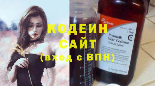 прущие грибы Абаза
