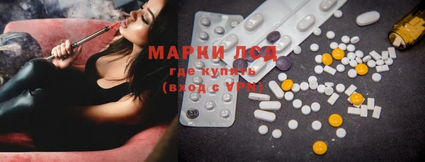 прущие грибы Абаза
